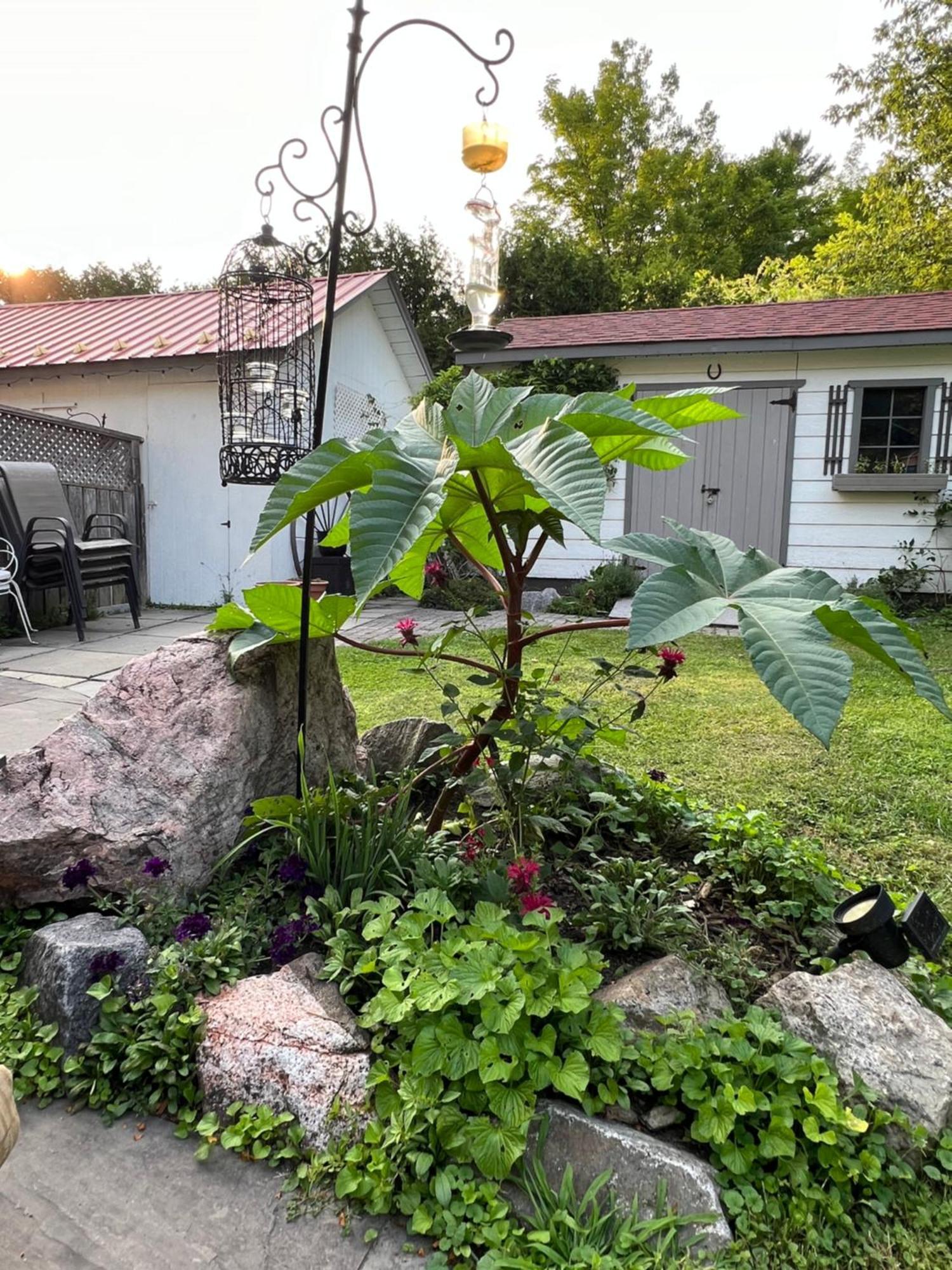 Les Trois Erables Boutique Inn Wakefield Eksteriør billede